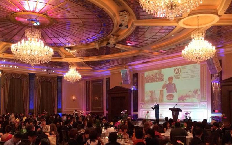 The Han-Schneider International Children’s Foundation Benefit Dinner and Auction Is A Huge Success