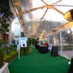 Taglyan Complex Blog - 2016 Hollywood Central Park Gala 12