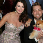 Vanderpump Dog Foundation Gala Draws Stars To Support Animal Rights