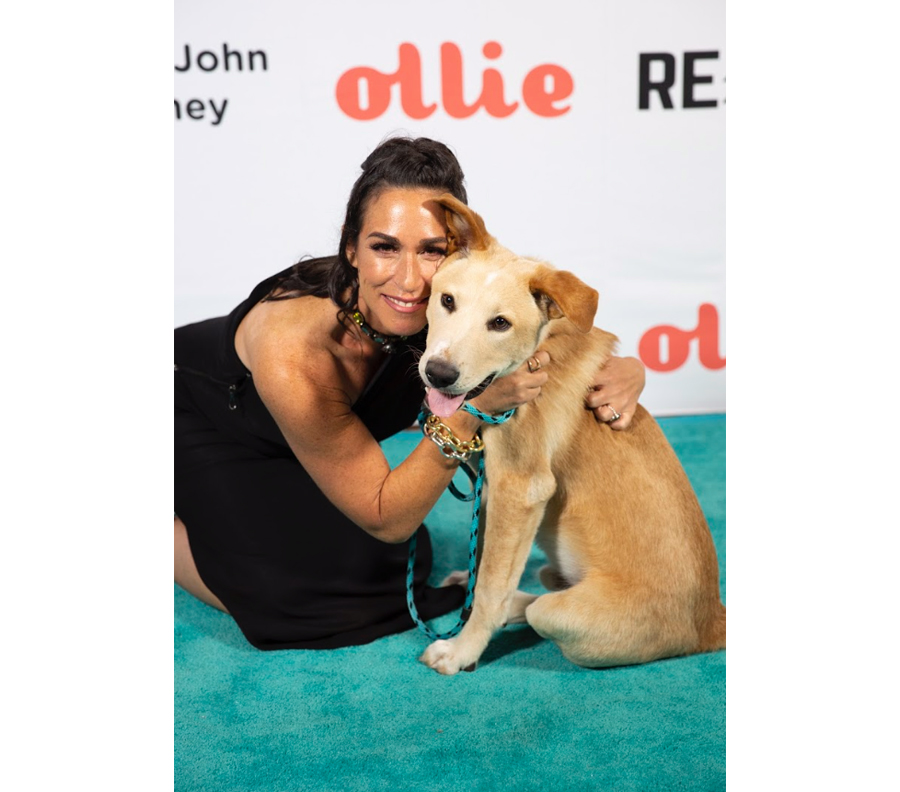 Lesley Brog On Blue Carpet At 9th Annual Wags And Walks Gala At Taglyan Complex