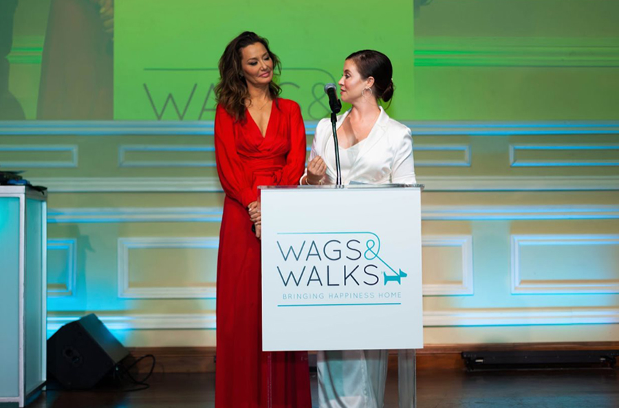 Taglyan Complex Stage At 9th Annual Wags And Walks